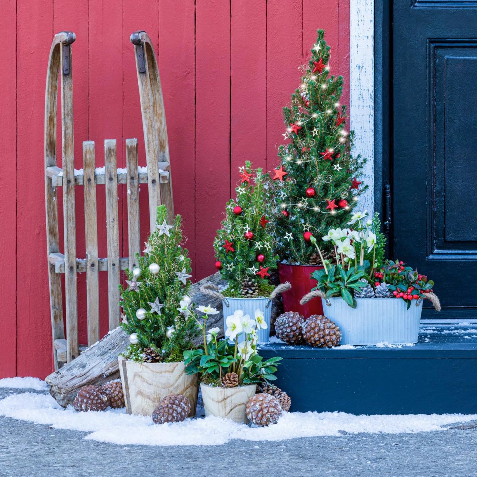 Geschmückte Bäumchen