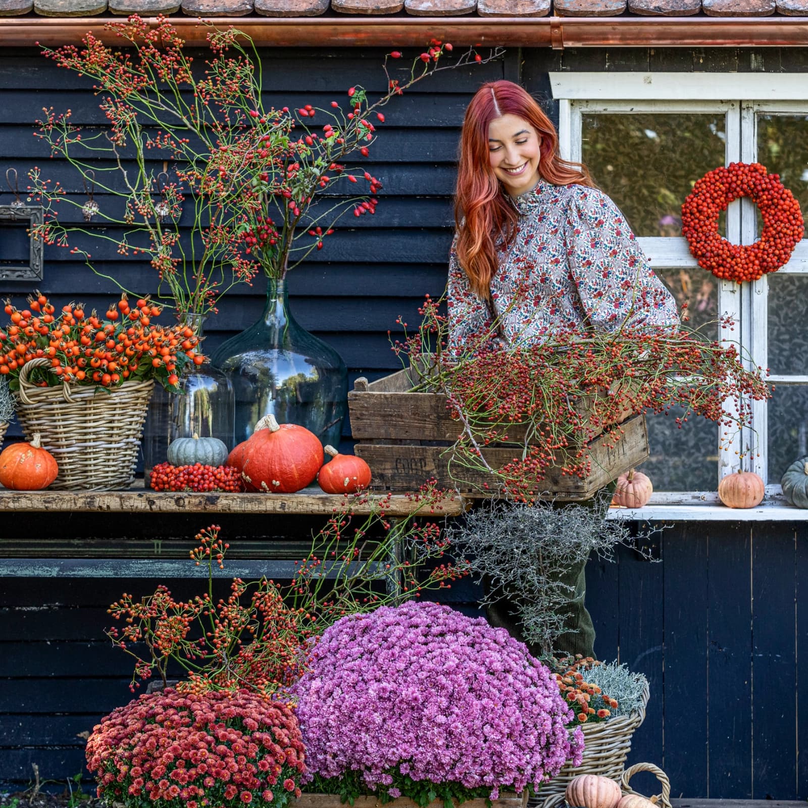 Ratgeber Herbstgarten