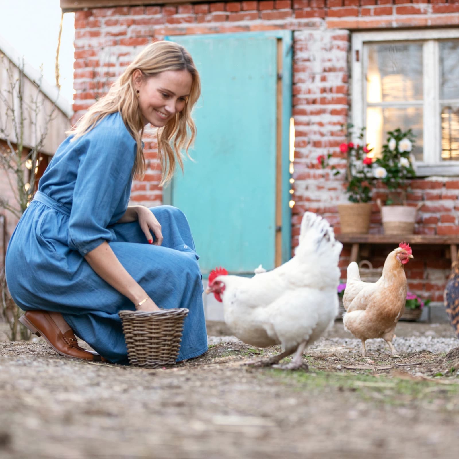 Ratgeber Tiere im Garten