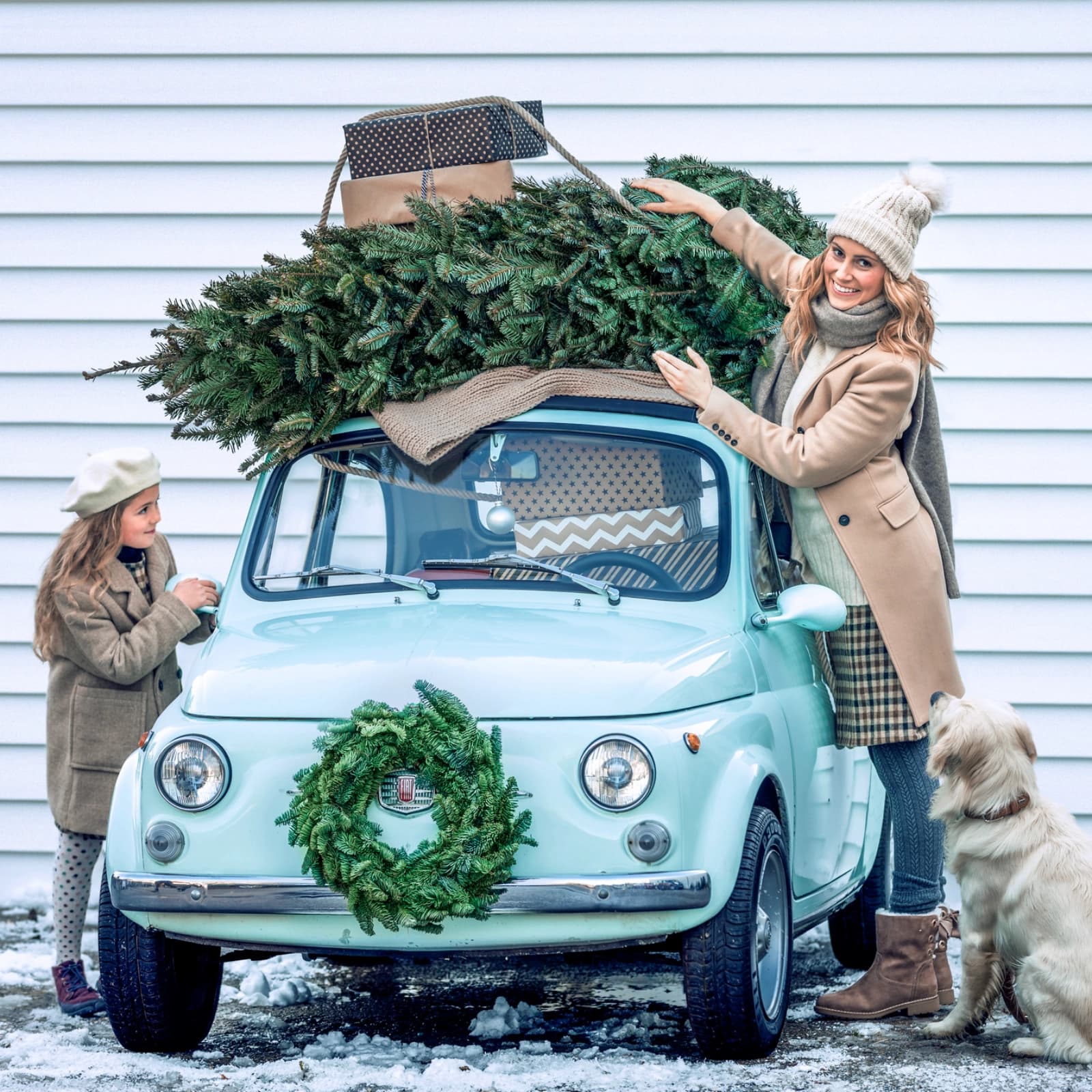 Ratgeber Weihnachtsbaum