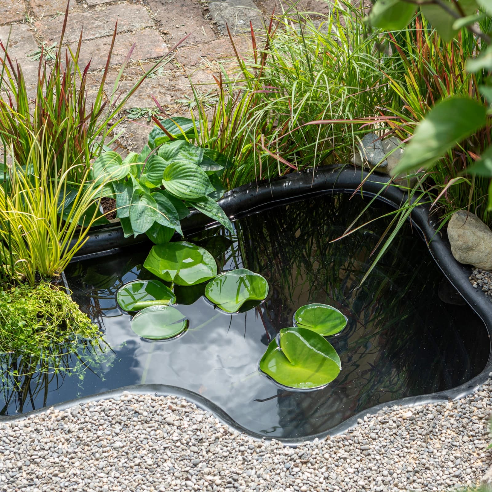 Teichbecken & -folien