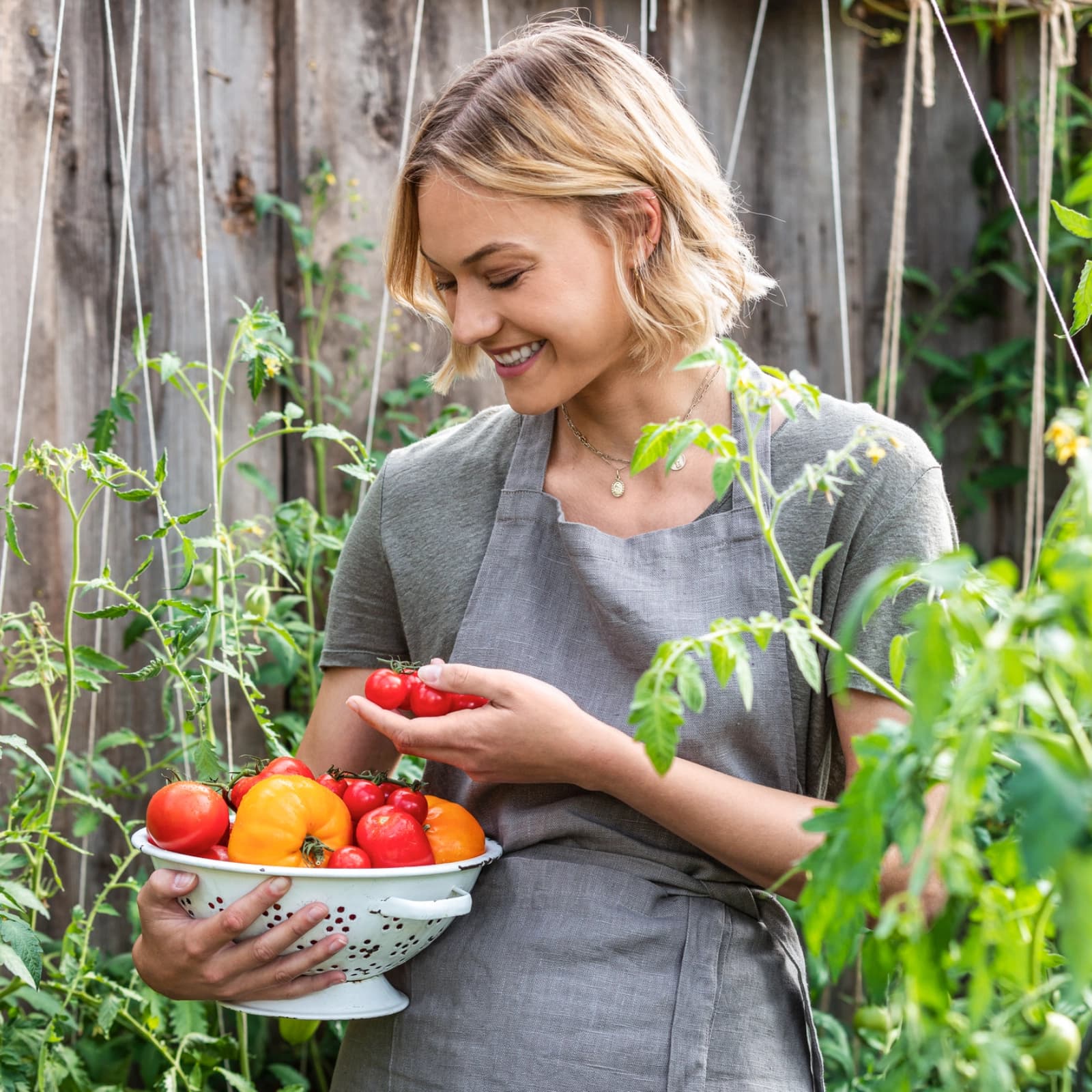 Obst- & Gemüsedünger