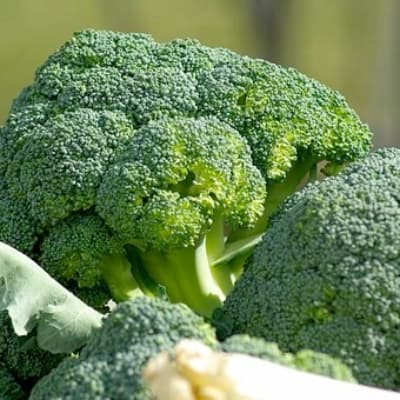 Brokkoli