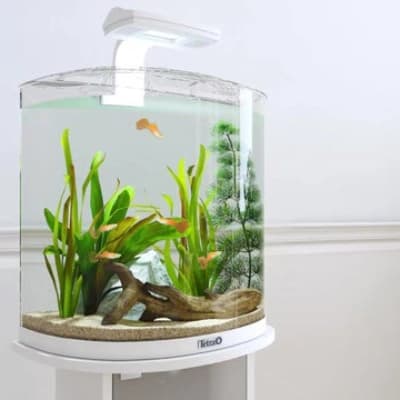 Aquarium Einsteigeraquarien