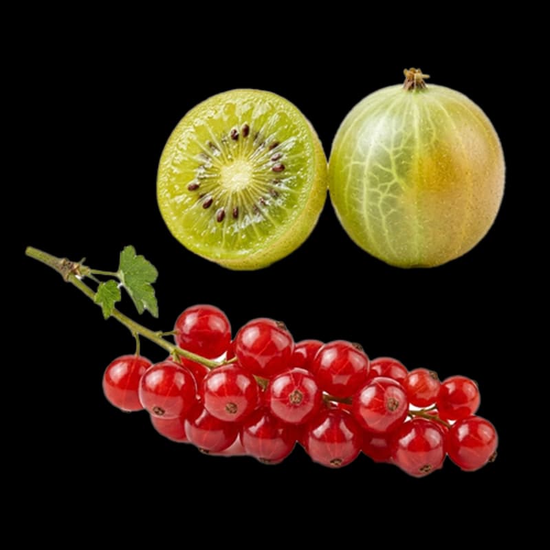 Stachel- & Johannisbeeren