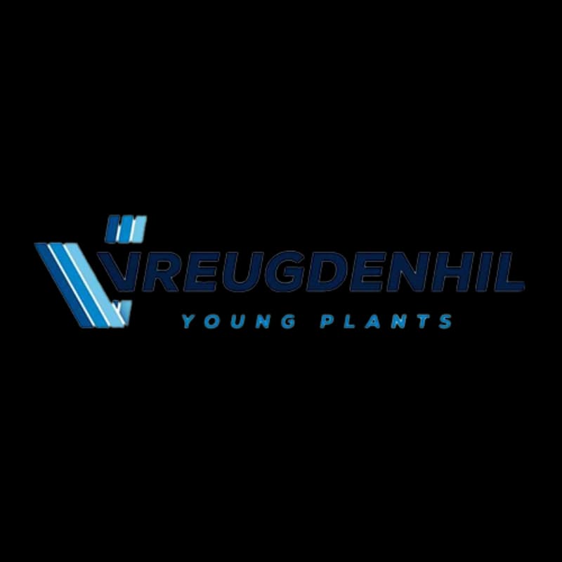 Vreugdenhil Young Plants