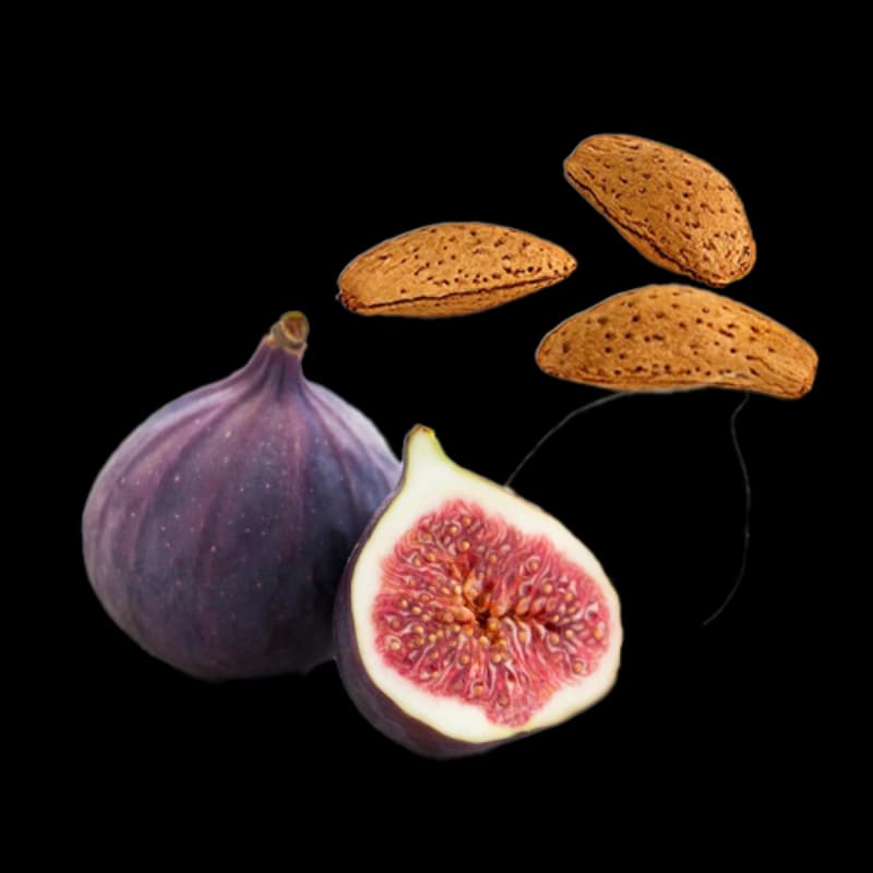 Nüsse & besondere Obstbäume