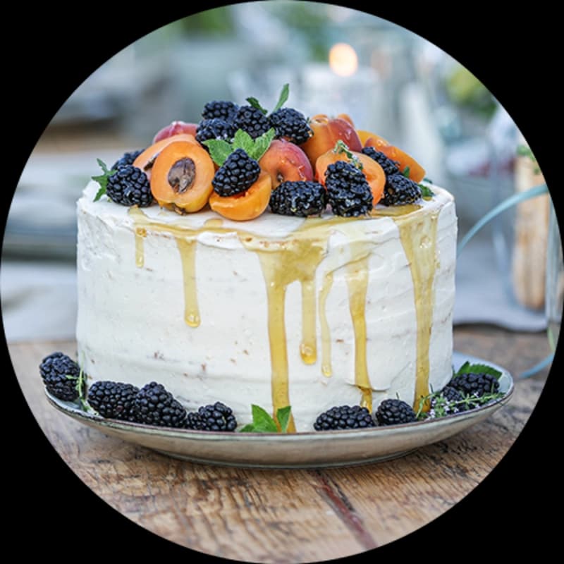 Aprikosenkuchen