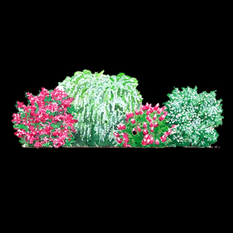 Sträucher- & Rosen-Sets