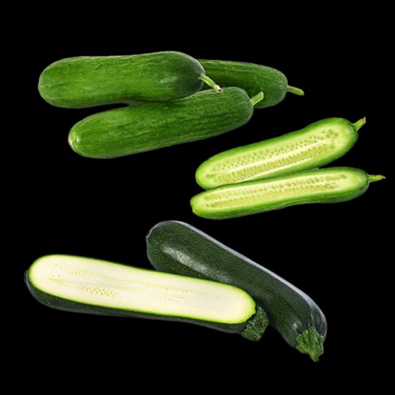 Zucchini- & Gurkenpflanzen