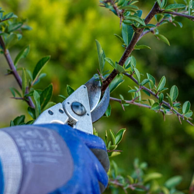Hecken- und Garten­scheren