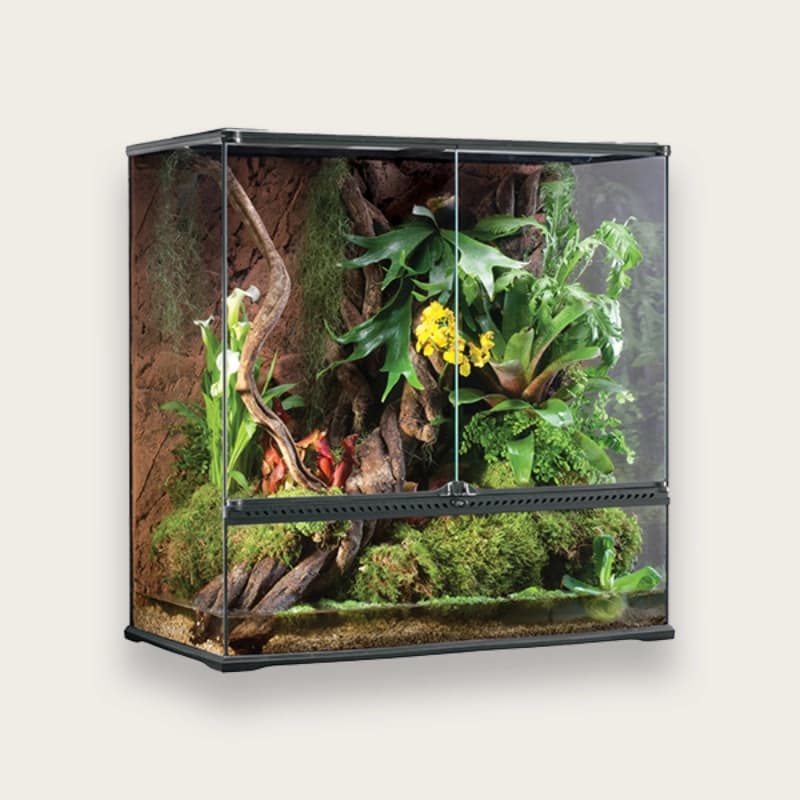 Terrarium