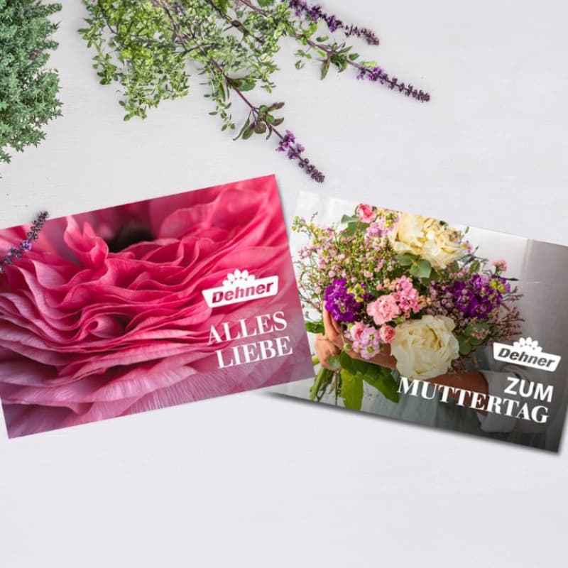 Gutscheine zum ausdrucken