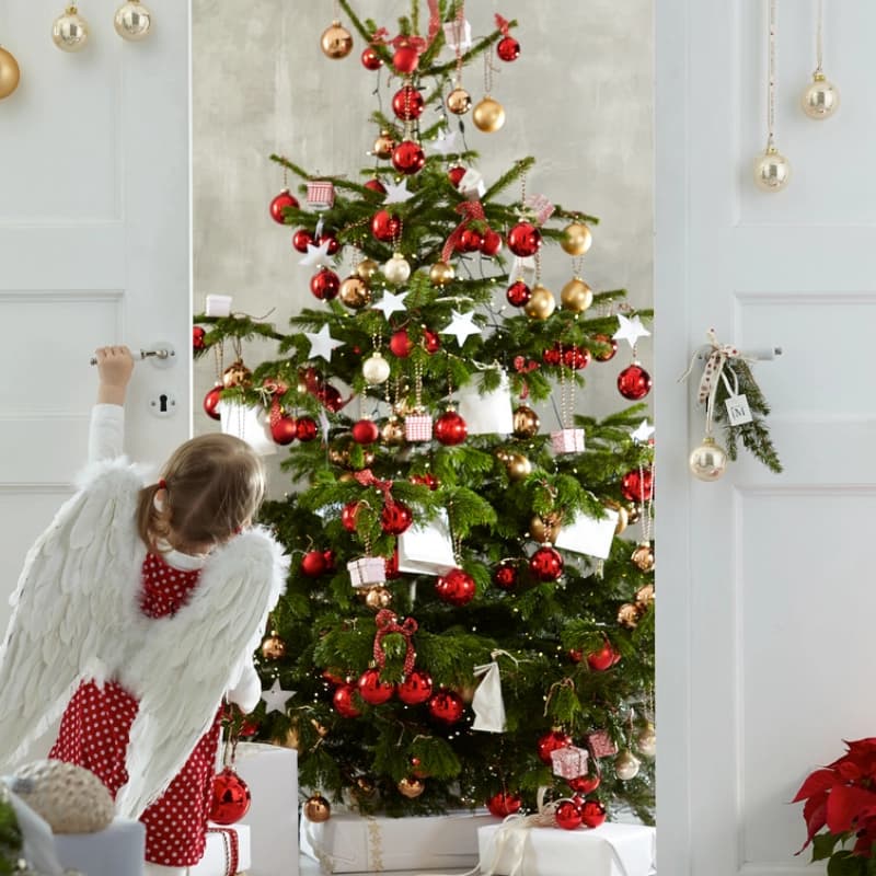 Weitere Tiergeschenke