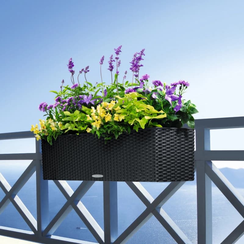 Lechuza Balkonkästen