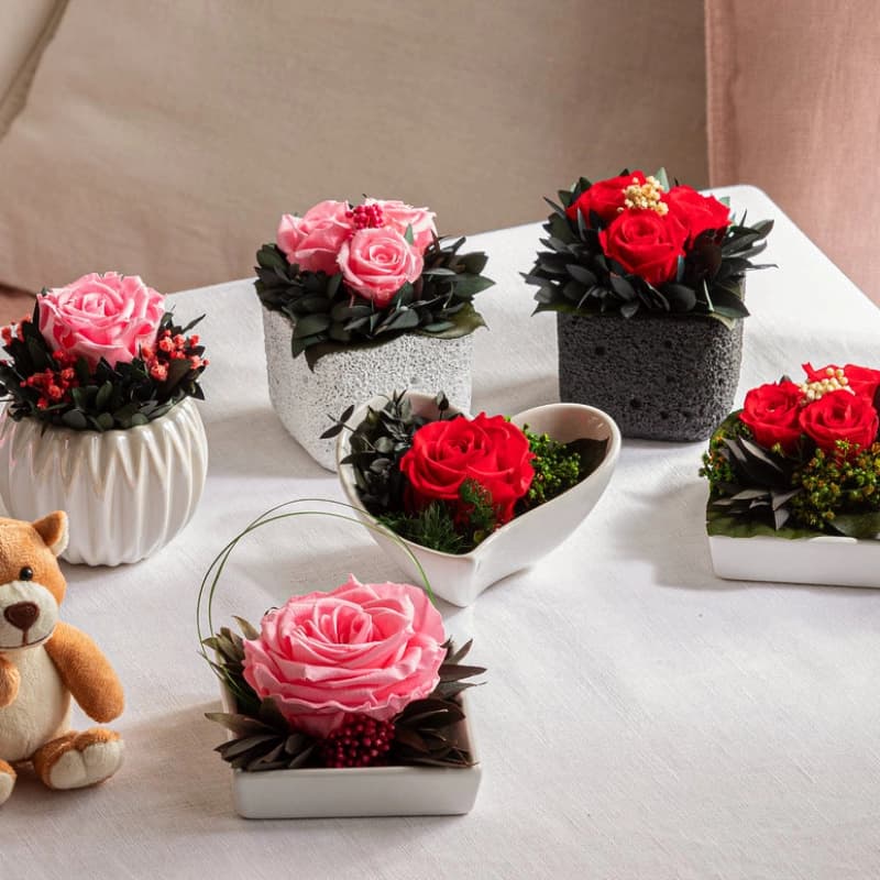 Konservierte Rosen