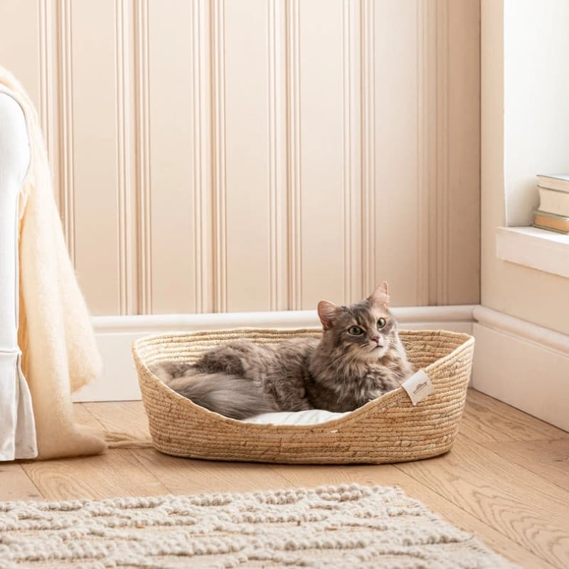 Katzenbetten & Kissen