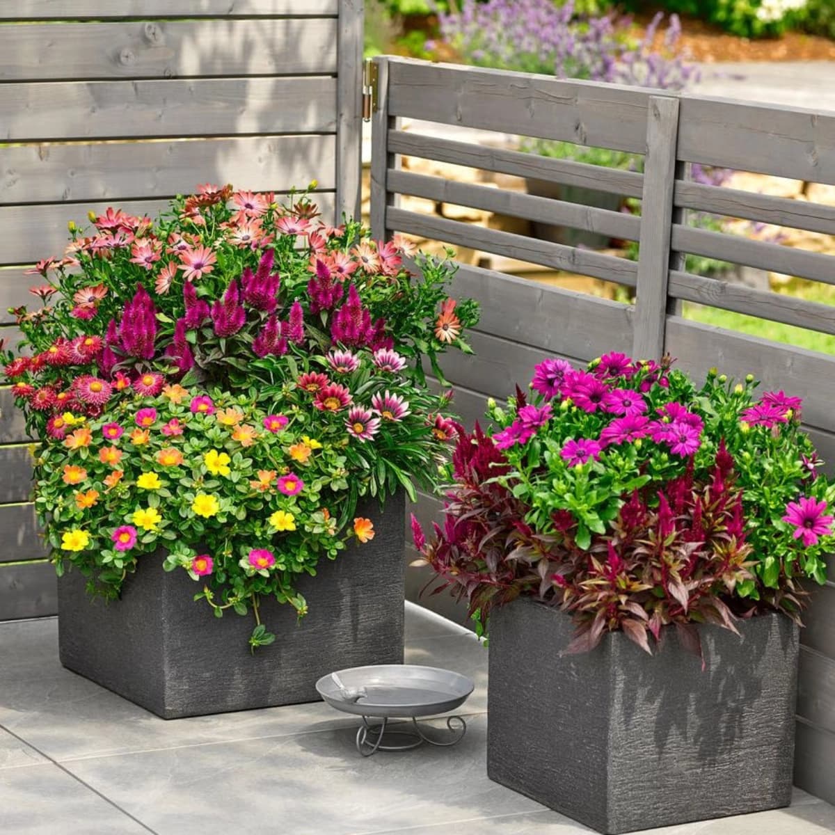 Pflanzgefäße & Übertöpfe