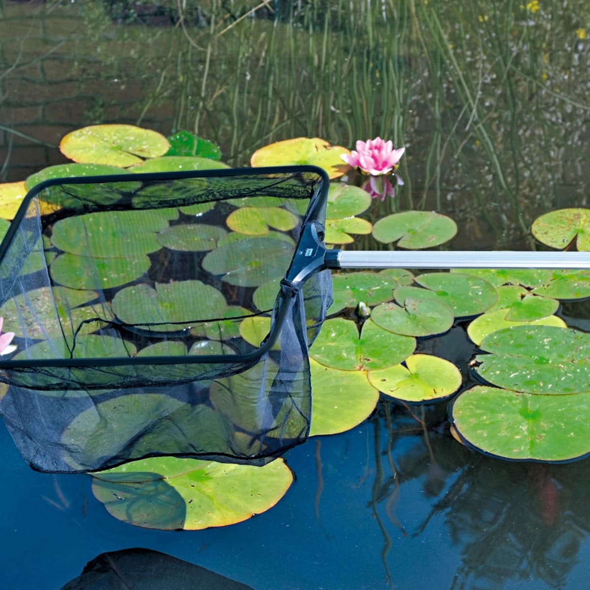 Teichzubehör & -pflege