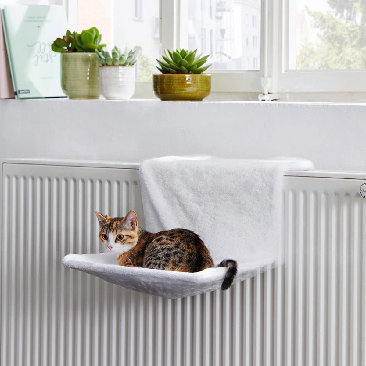 Mehr Katzenschlafplätze