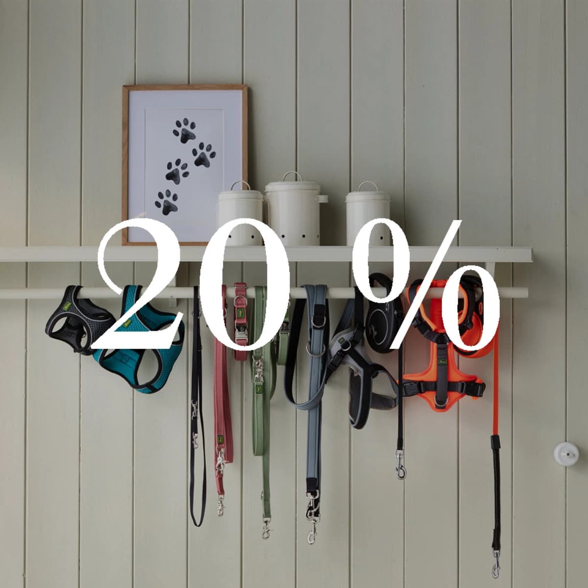 Hundeleinen, Halsbänder & Geschirre