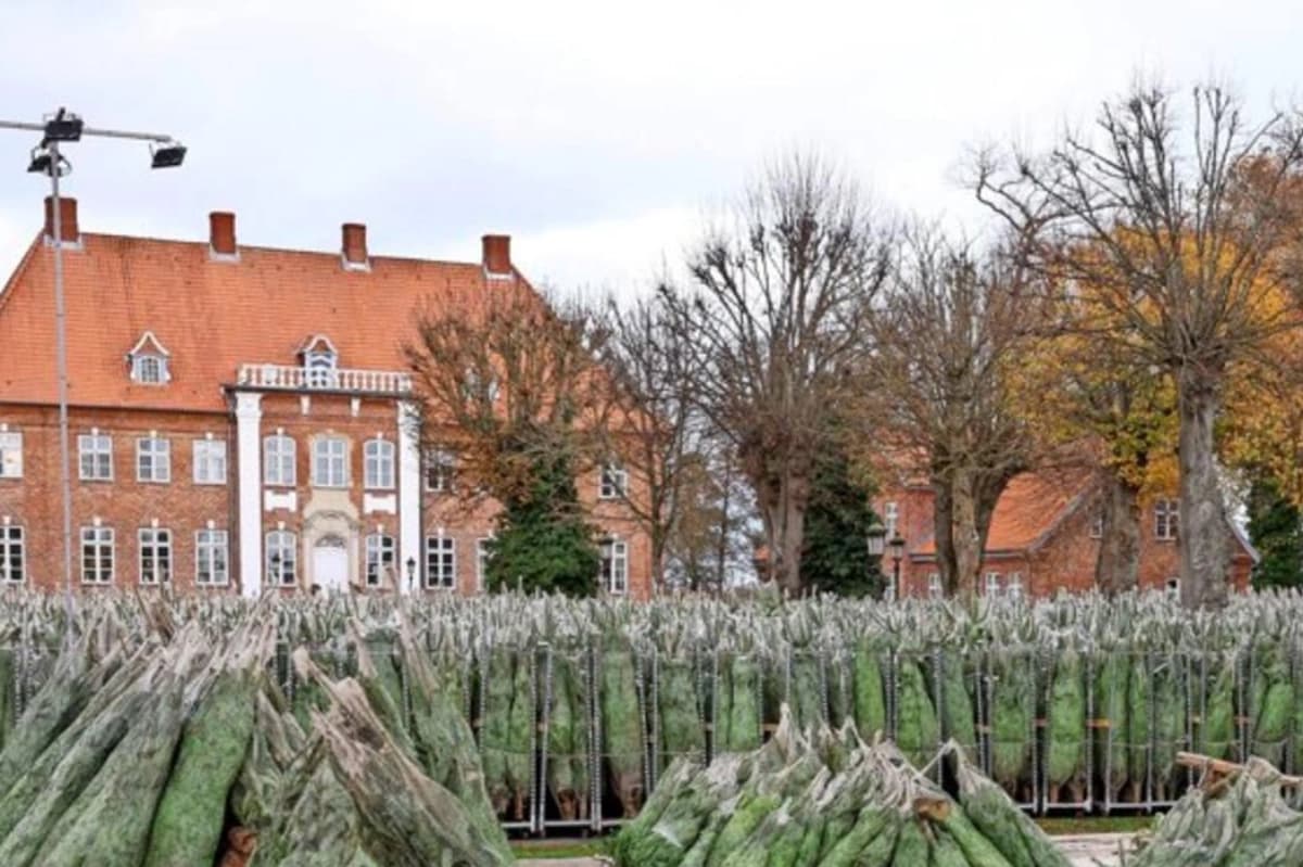 Energie & Ressourcen