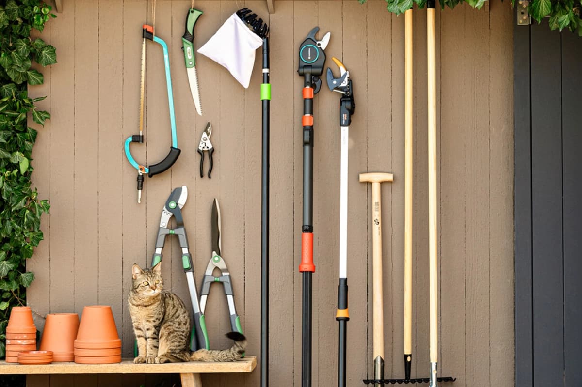 Gartenarbeiten im September