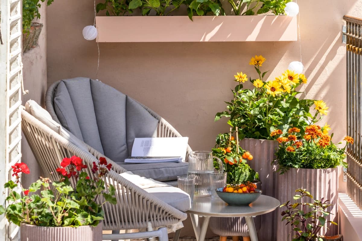 Top 10: Pflanzen Südbalkon