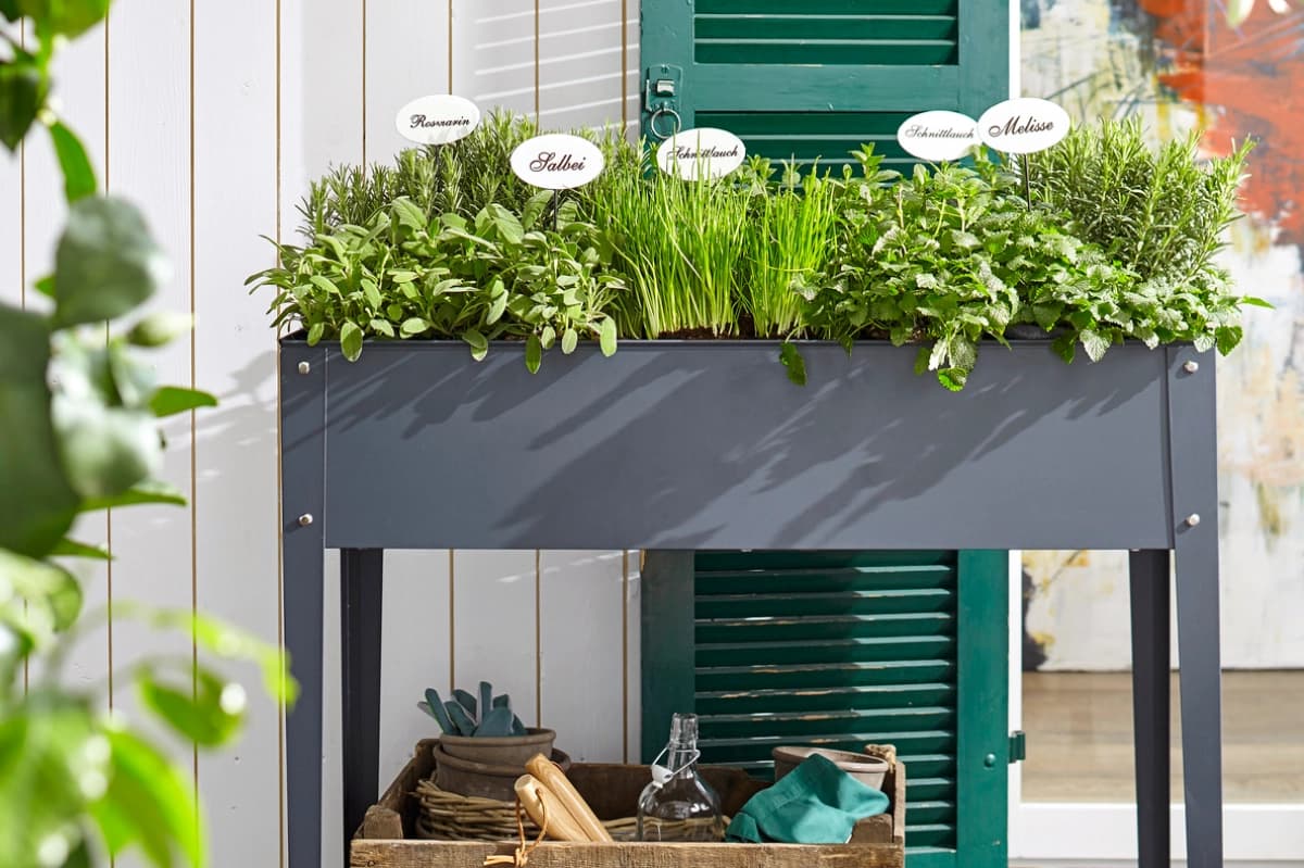 Hochbeete & Frühbeete