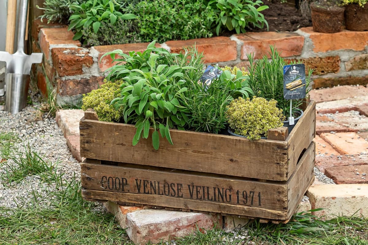 Aromatische Vielfalt