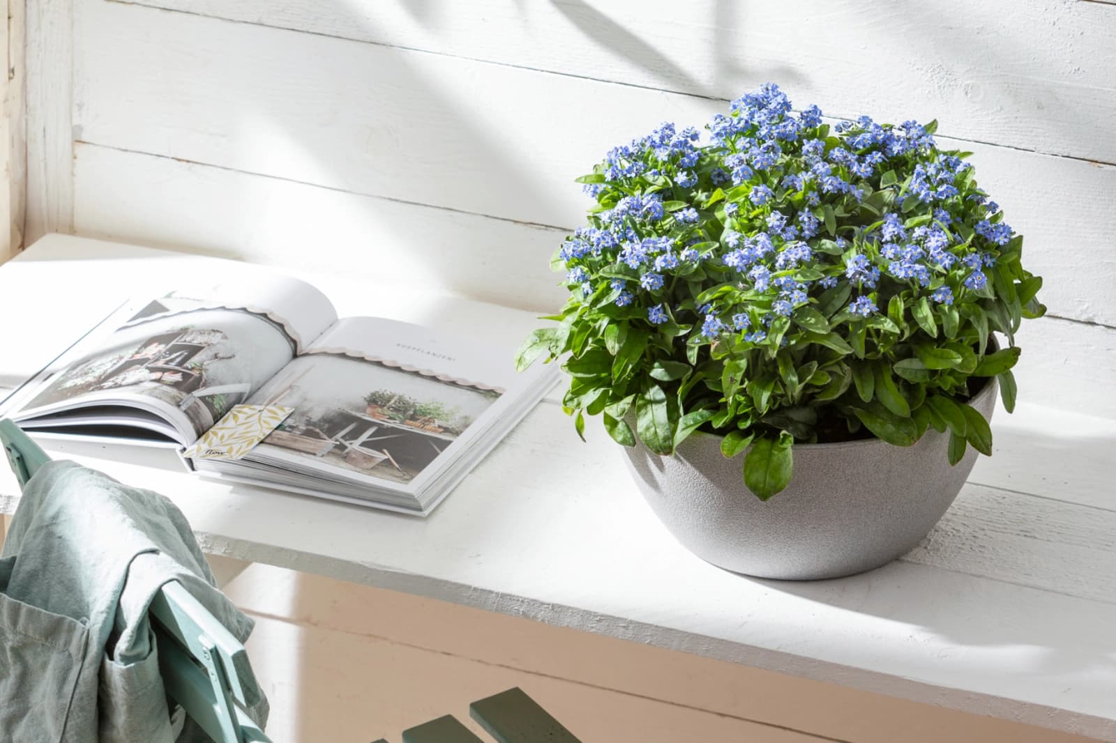 Blumenampeln & Schalen