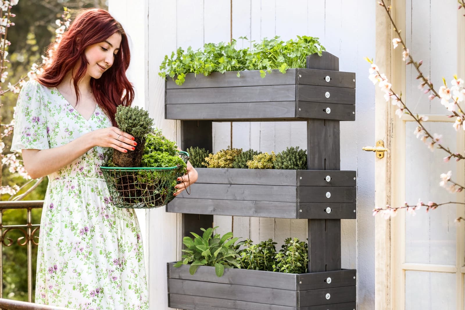 Vitaminreiches Gemüse