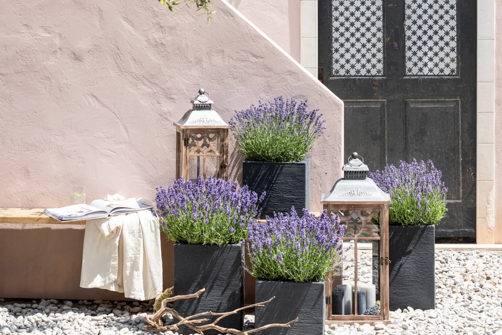 Lavendel