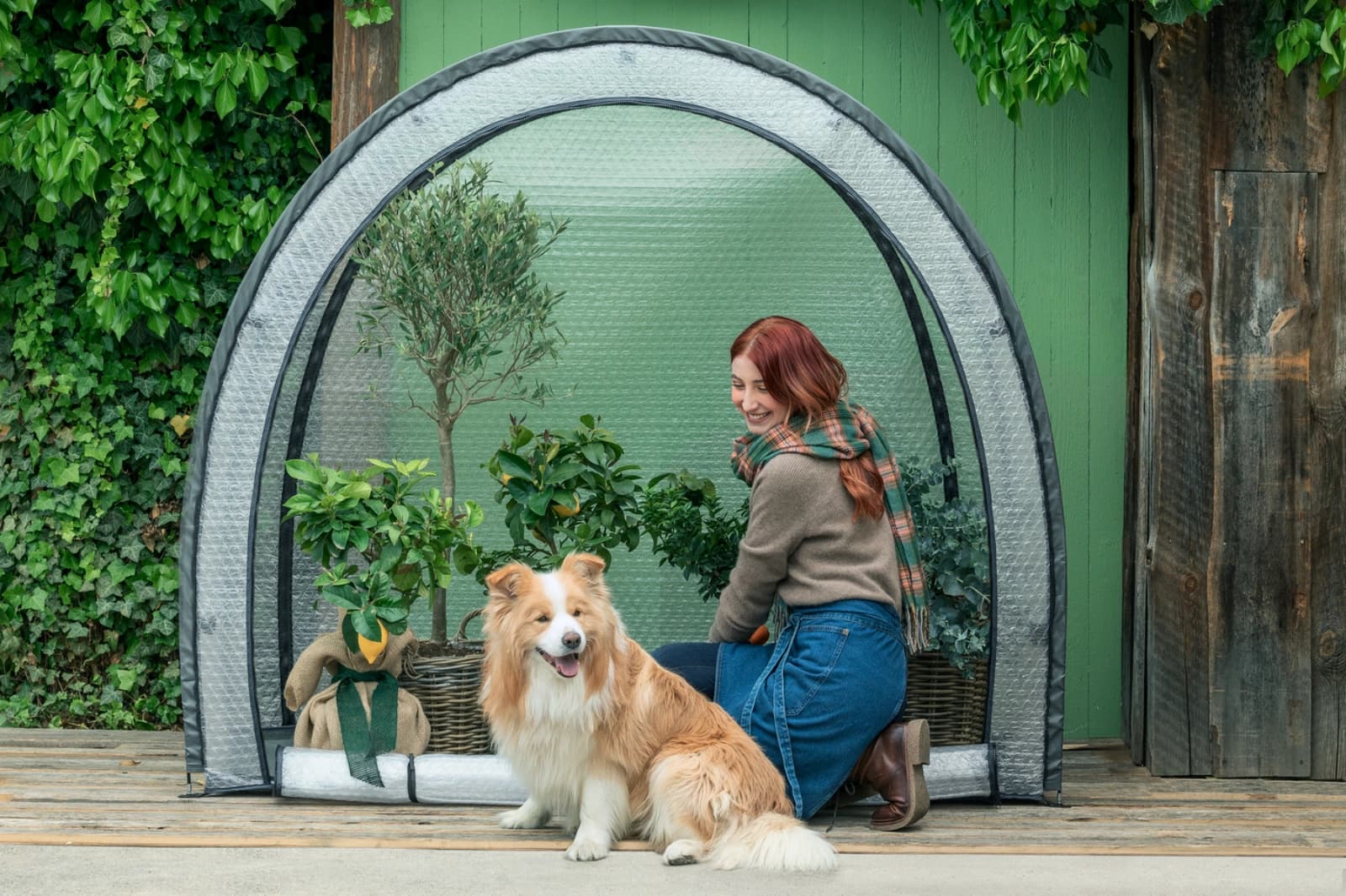 Winterschutz für Pflanzen