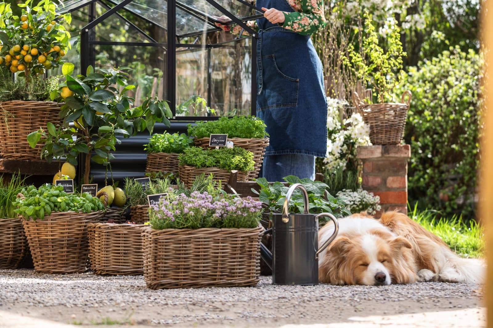 Selbstversorger Garten