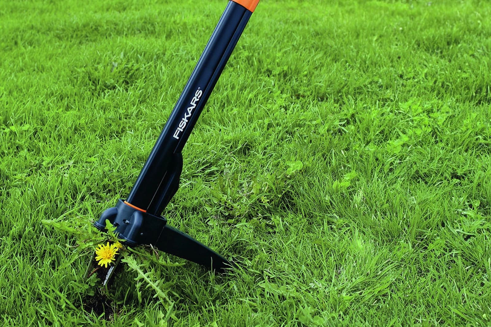 Empfehlung der Woche