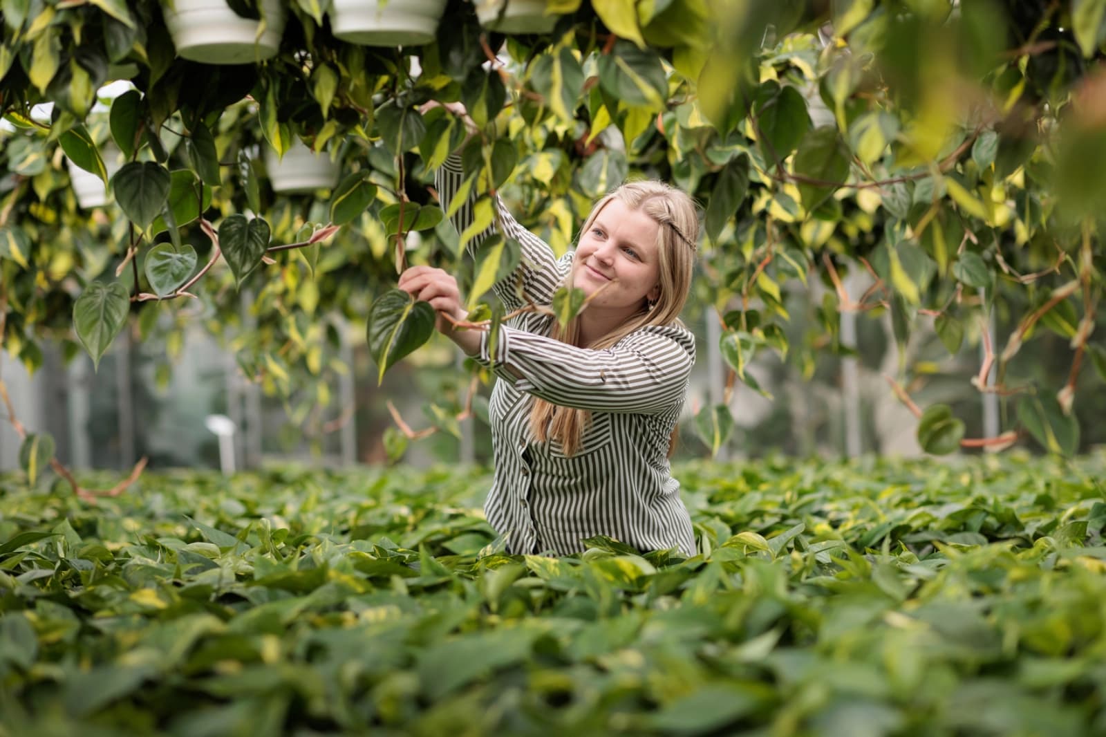 Soziale Verantwortung & Engagement