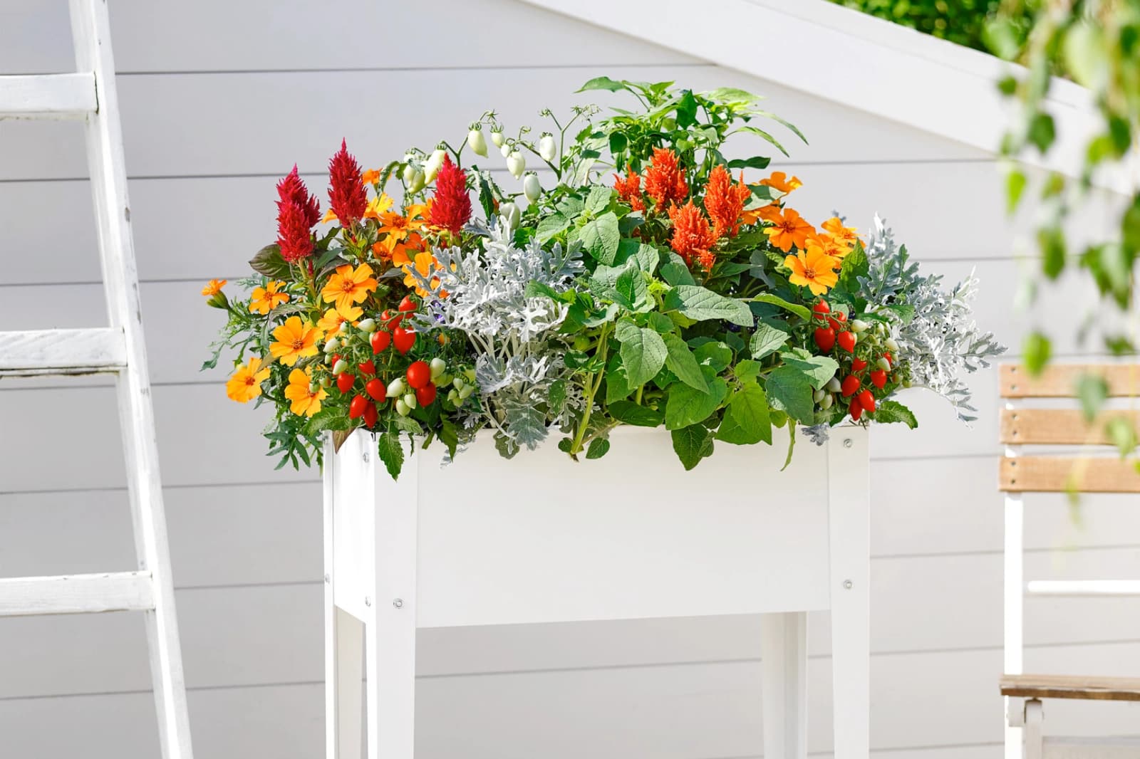 Gartenarbeiten im Juli