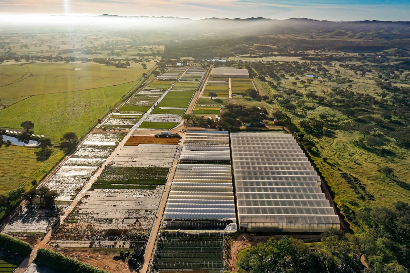 Energie & Ressourcen