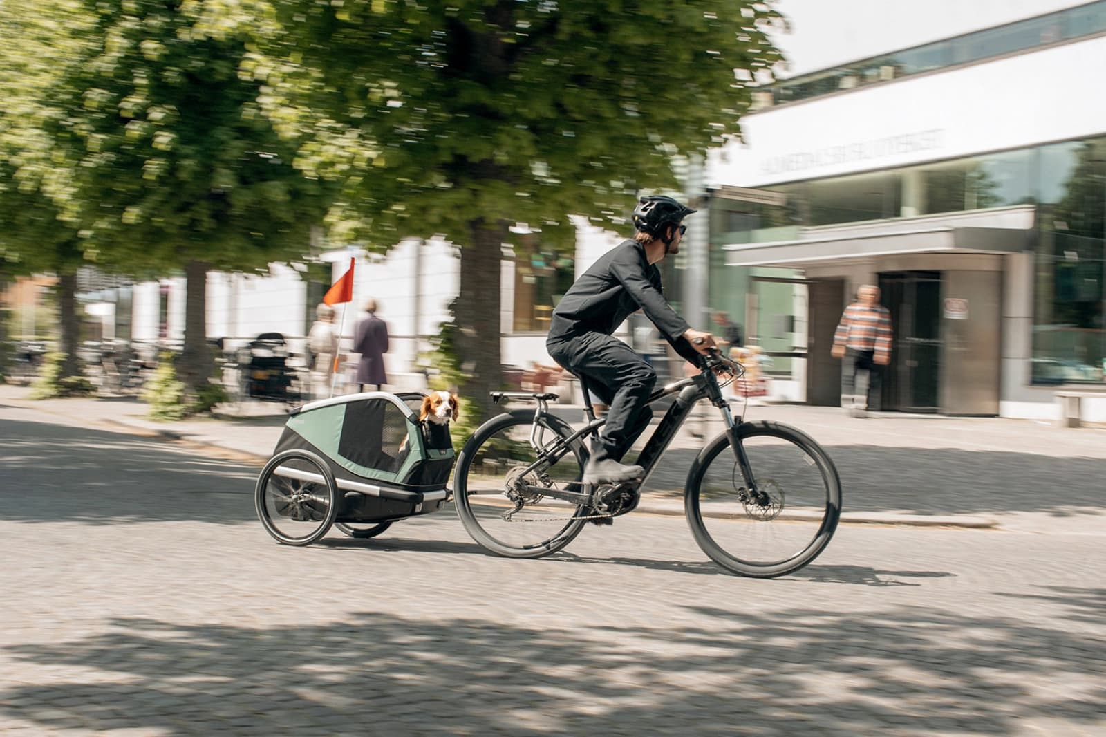 Aufsteigen, Hund einpacken, losradeln