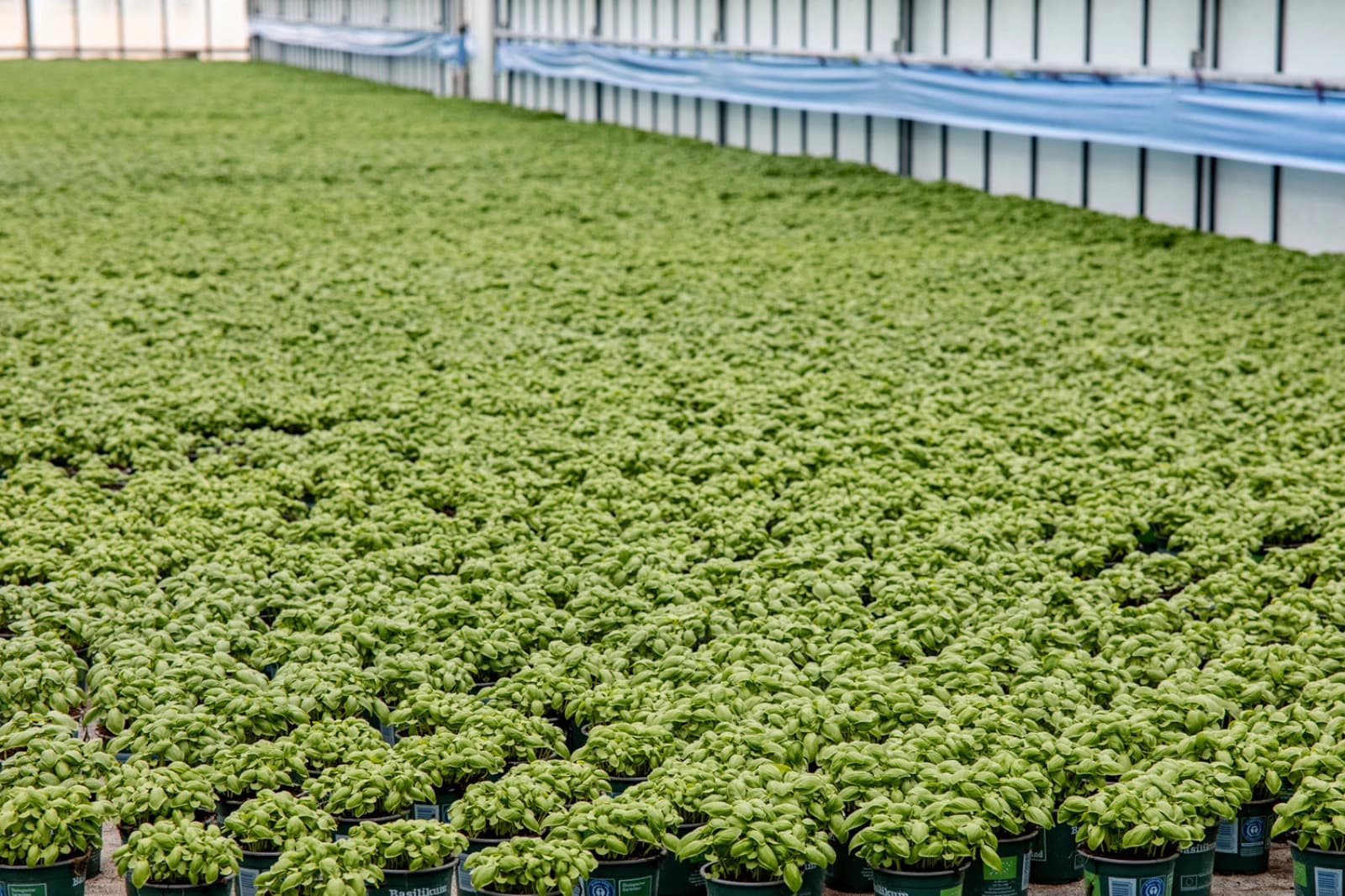 Energie & Ressourcen