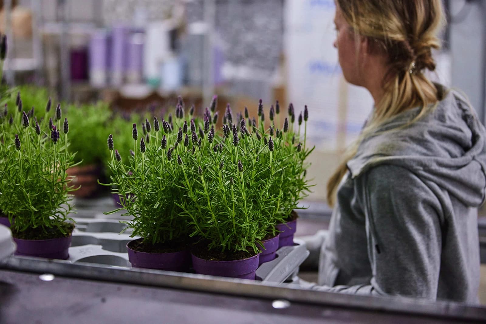 Verpackung & Transport