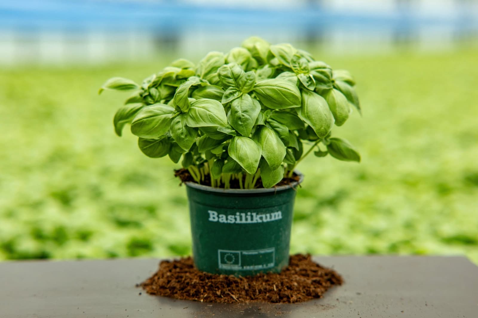 Verpackung/Transport