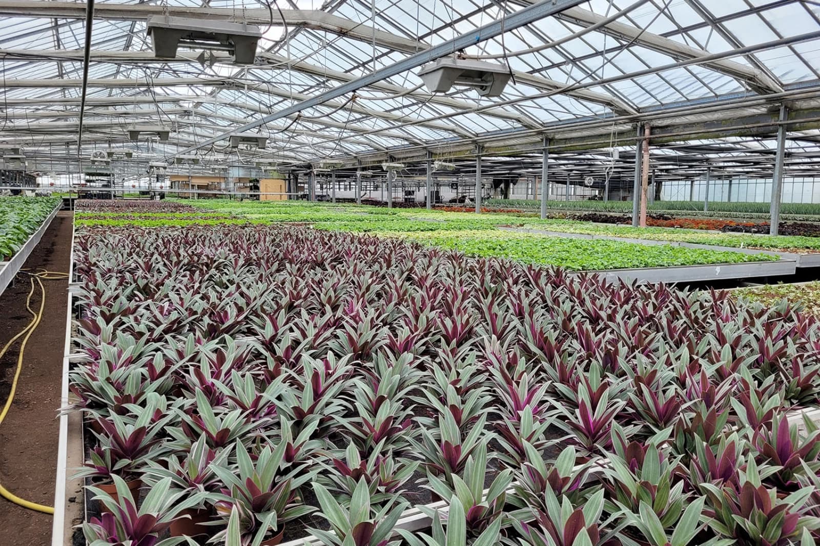 Energie & Ressourcen