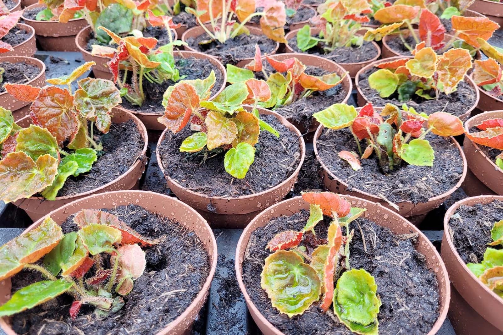 Verpackung & Transport