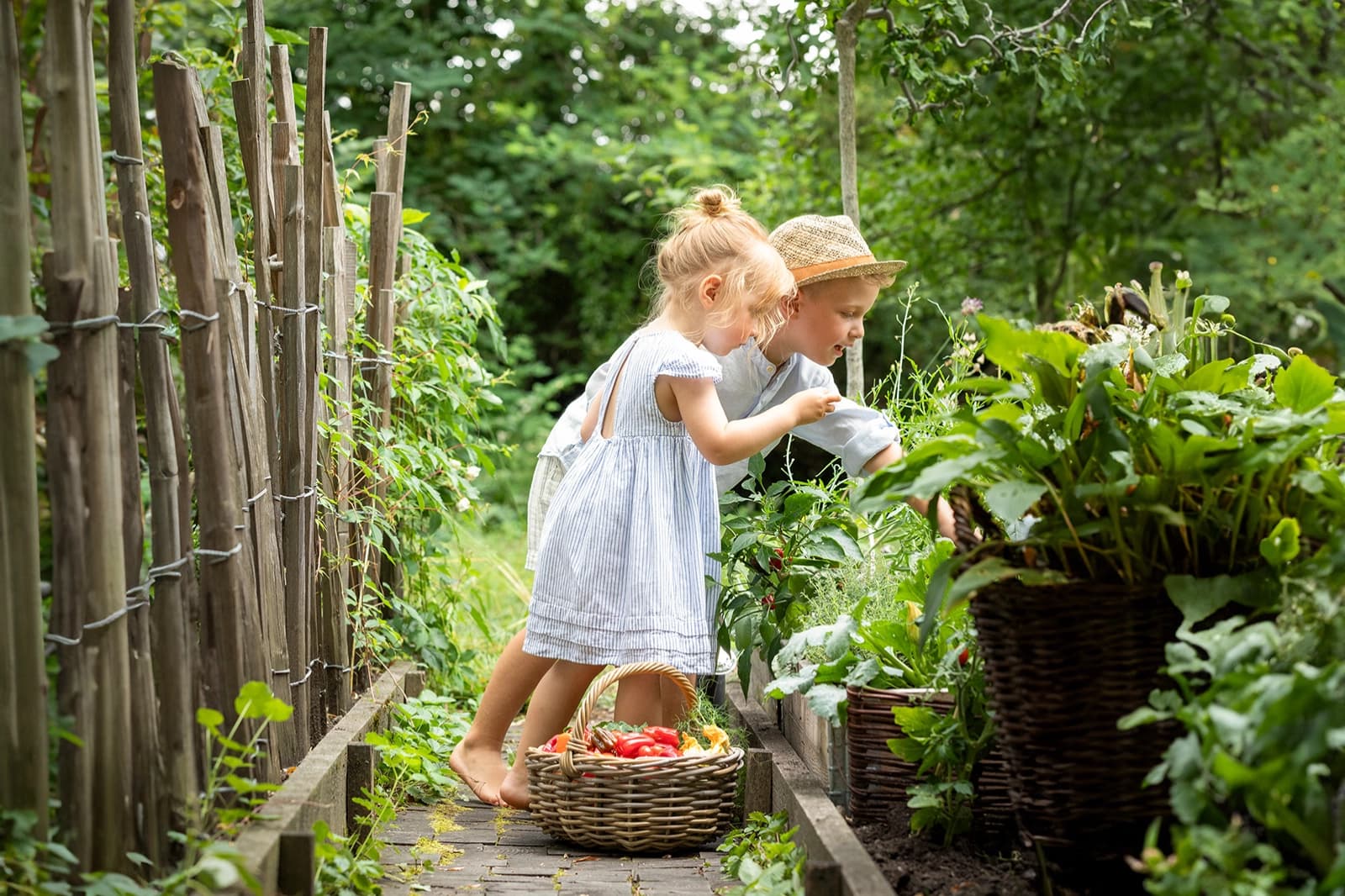 Biogarten