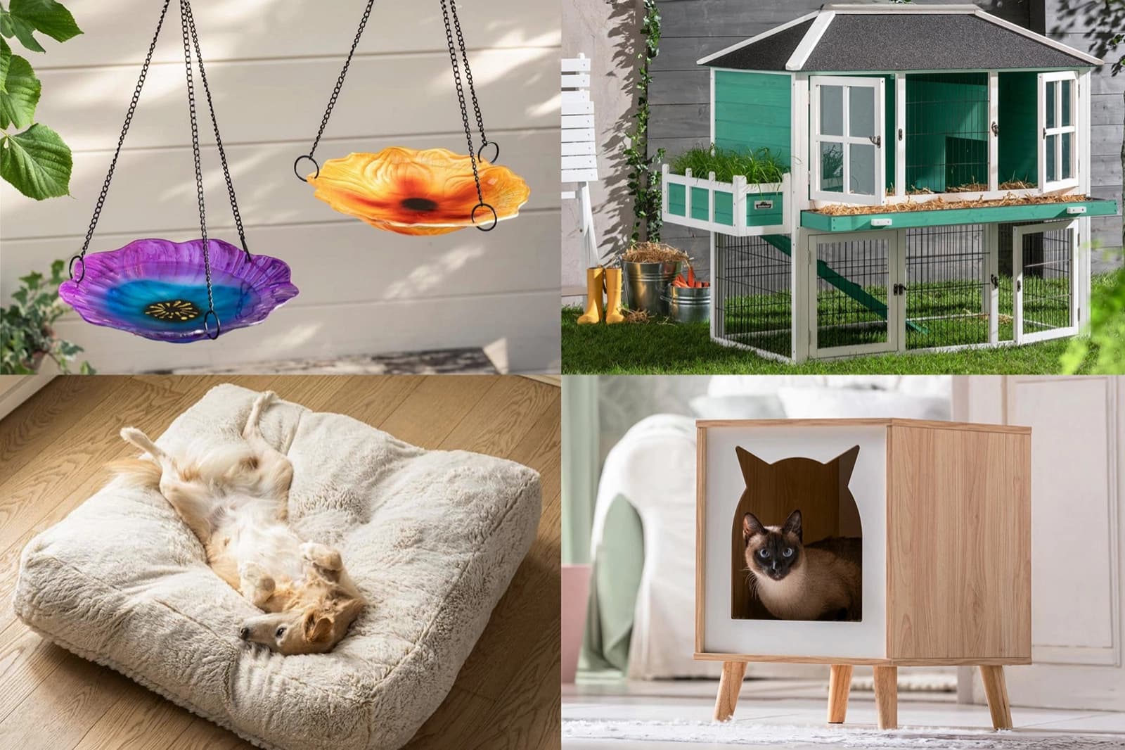 ZOO SALE