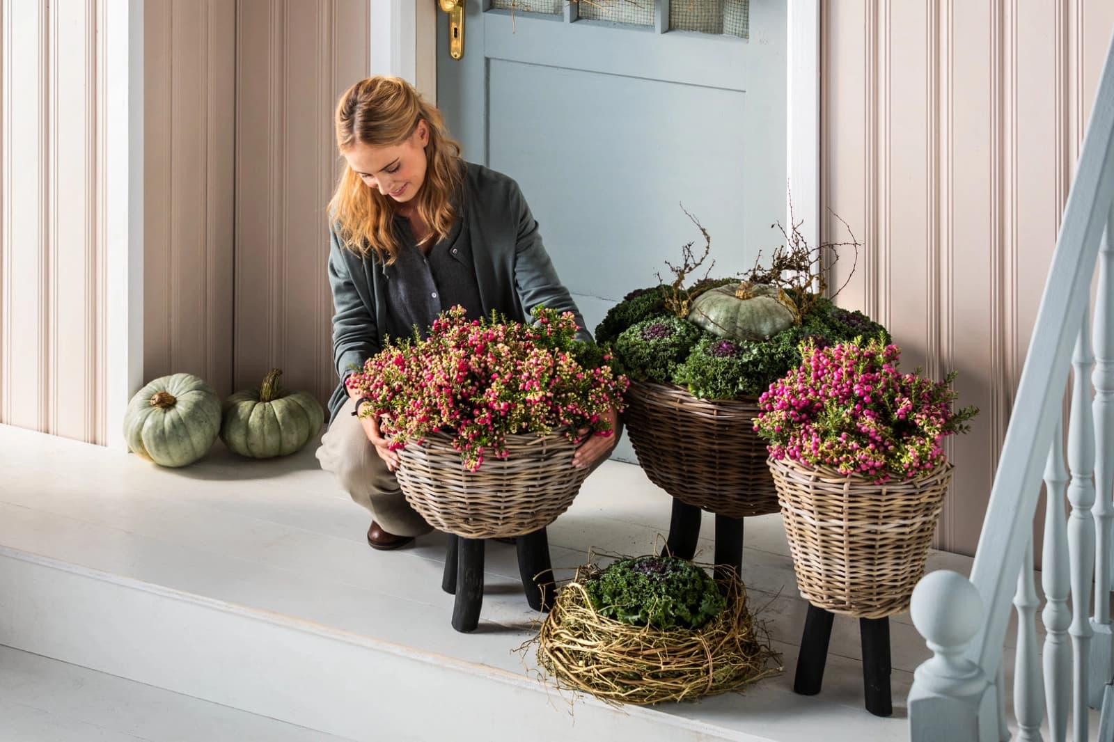 Laubgehölze & Beerenschmuck
