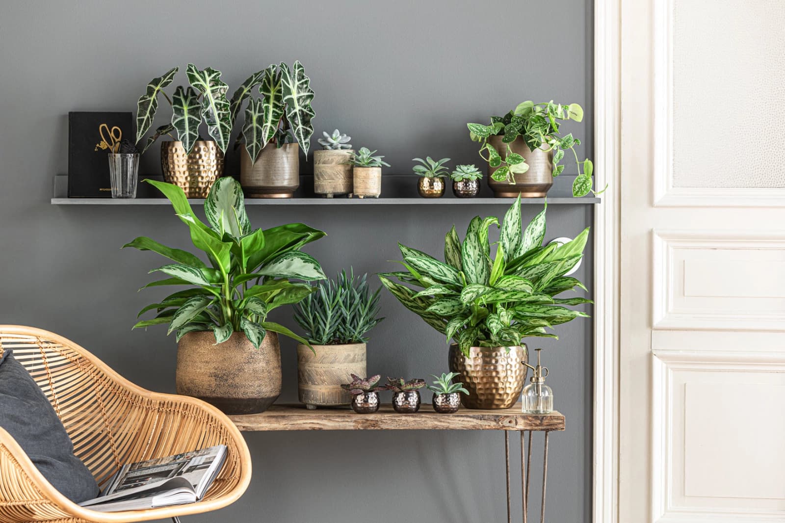 Pflanzgefäße & Übertöpfe