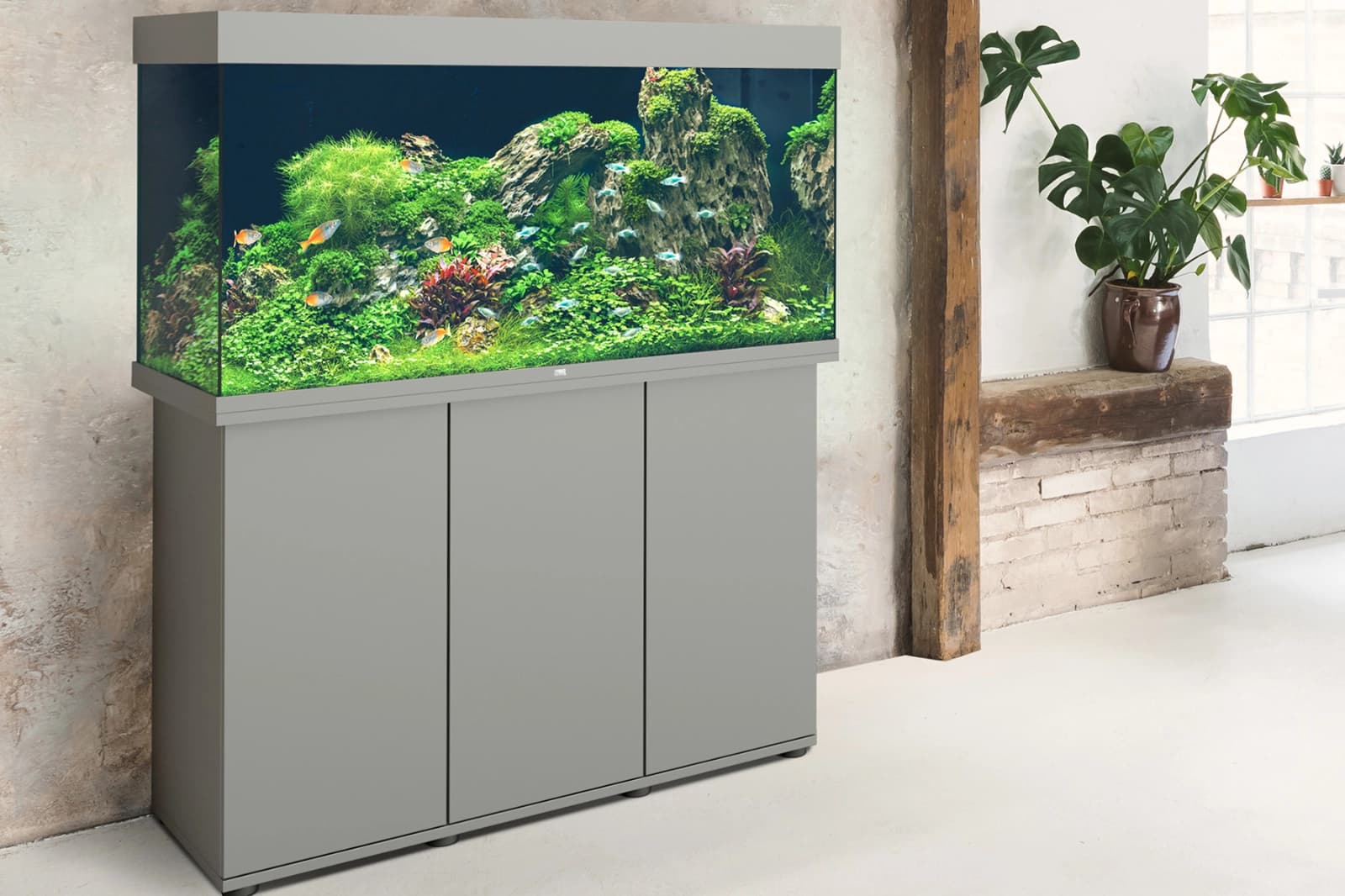 Alles rund ums Aquarium